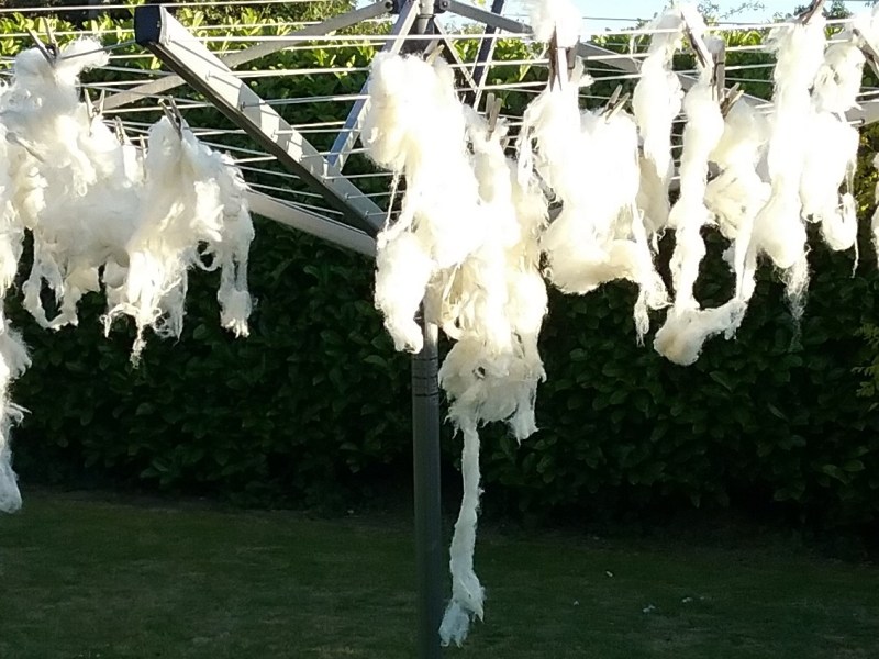 Fibre Prep: Dorset&nbsp;Horn