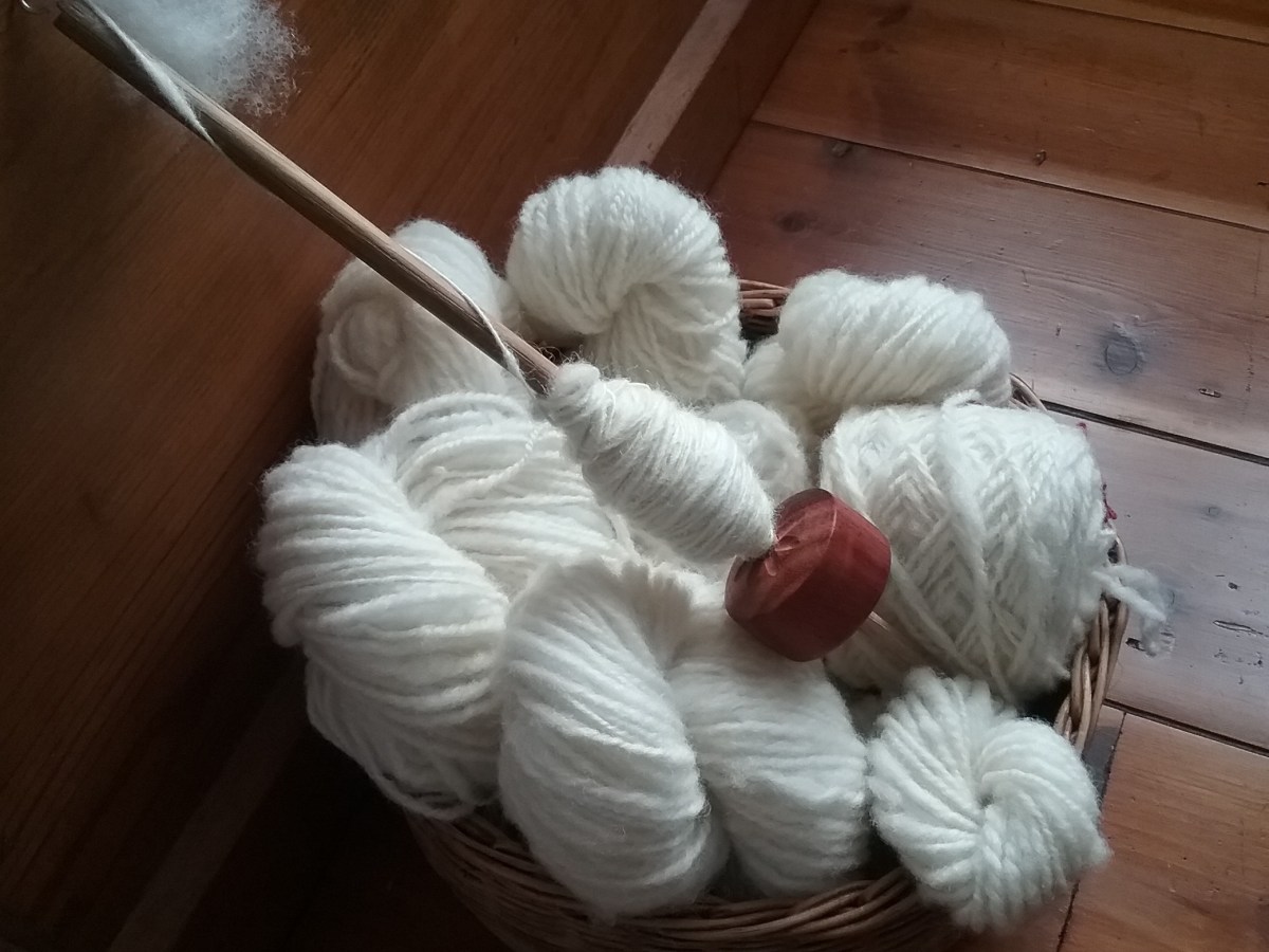 Spinning: Dorset Horn