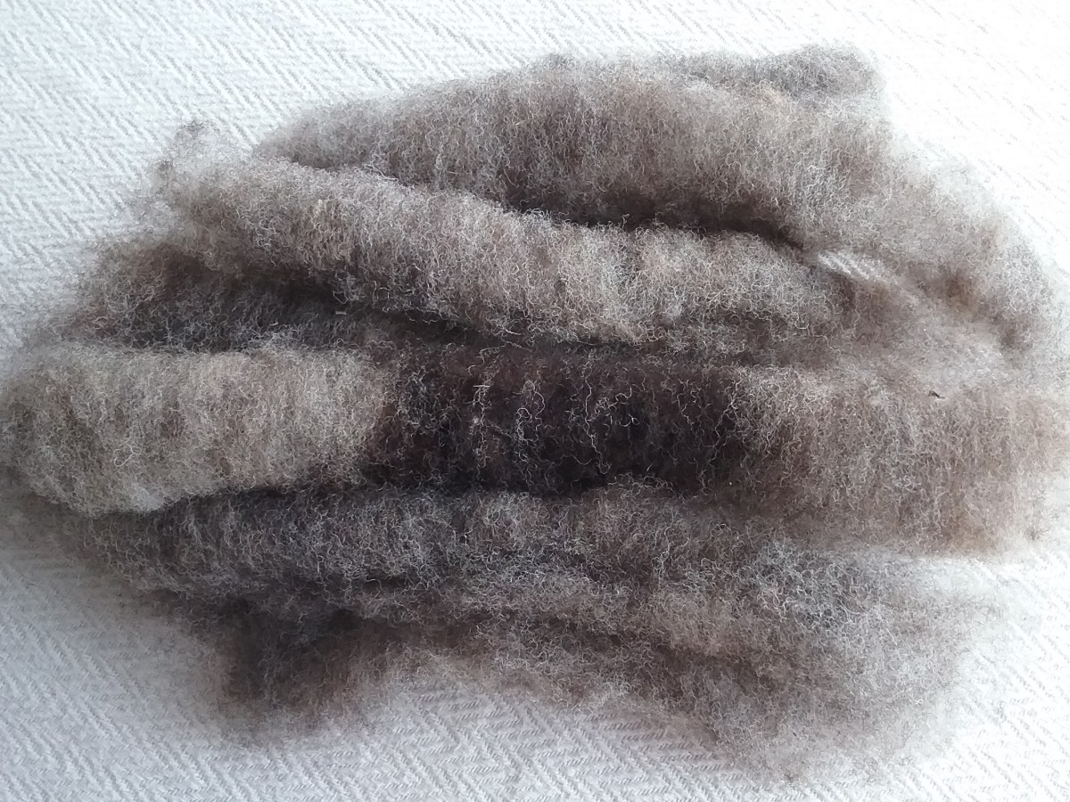 Fibre Prep: Ryeland