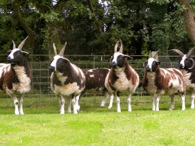 A Little About:&nbsp;Jacob