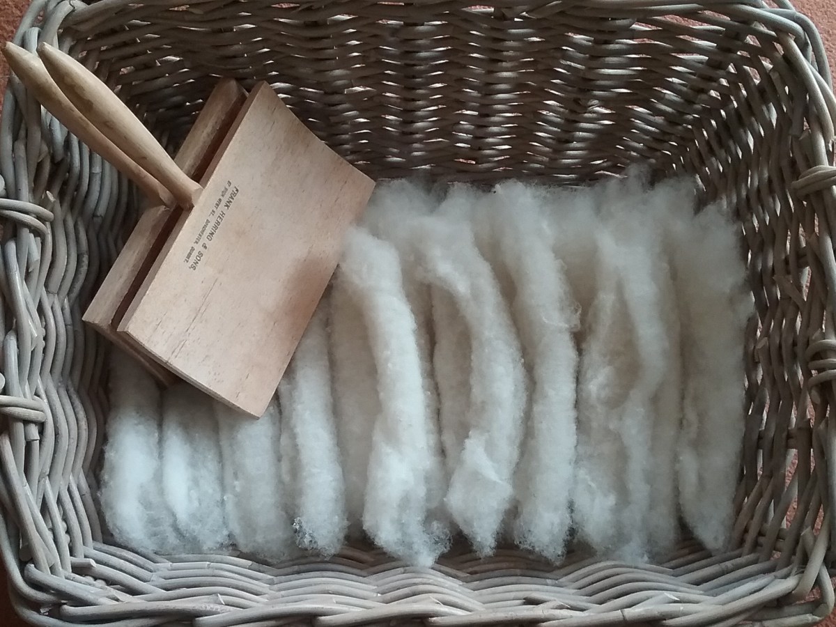 Fibre Prep: Clun&nbsp;Forest