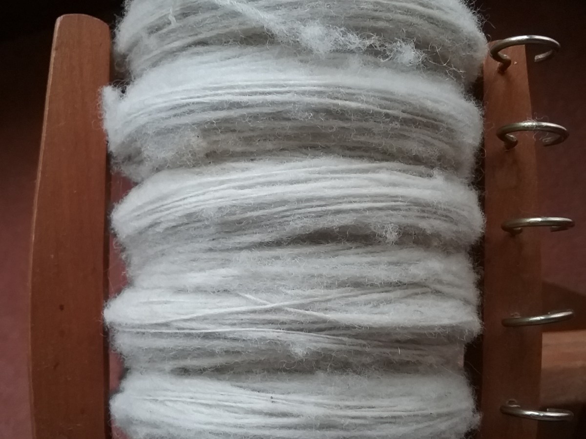 Spinning: Clun Forest