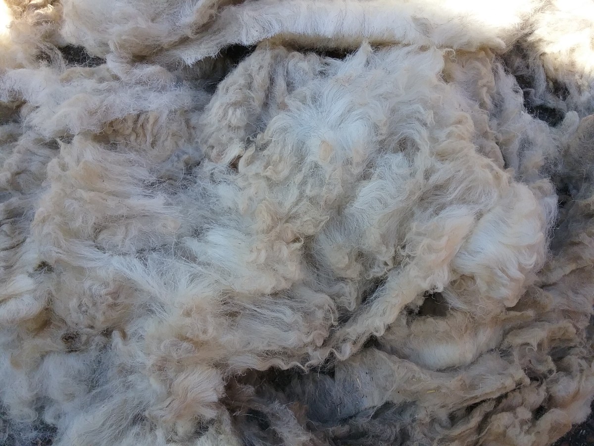 Fibre Prep: Herdwick