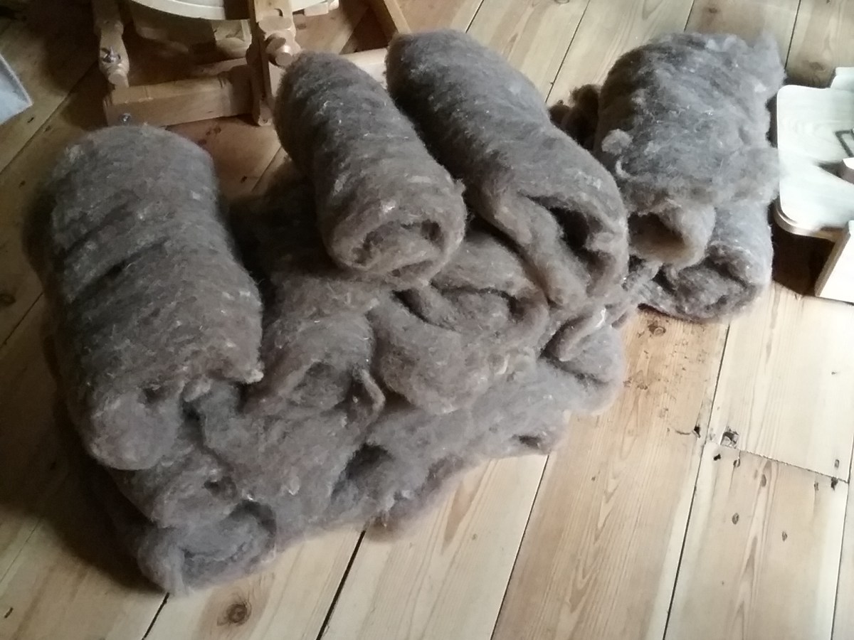 Fibre Prep: Castlemilk&nbsp;Moorit
