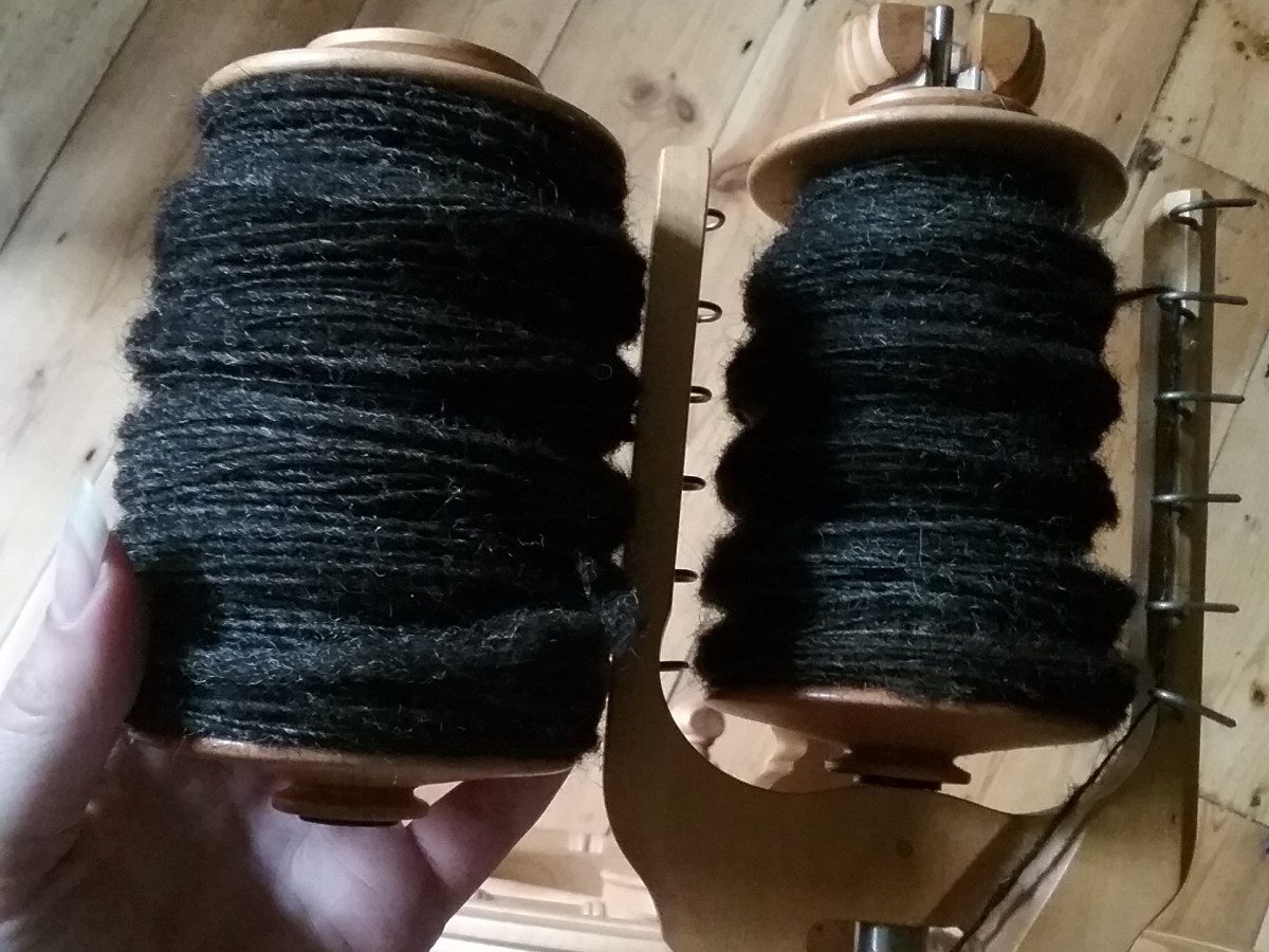 Spinning: Black Welsh&nbsp;Mountain