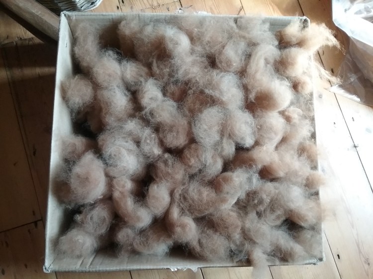 Tour De Fleece 2026 – Week 1&nbsp;Wrap-up